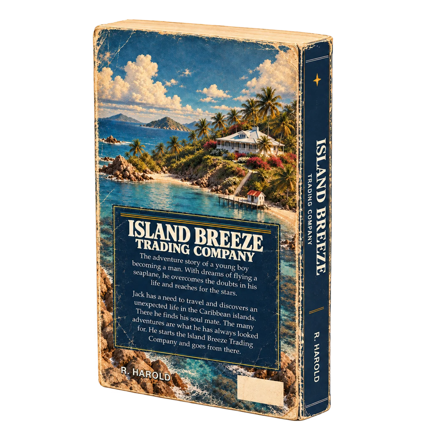 Back cover of the paperback